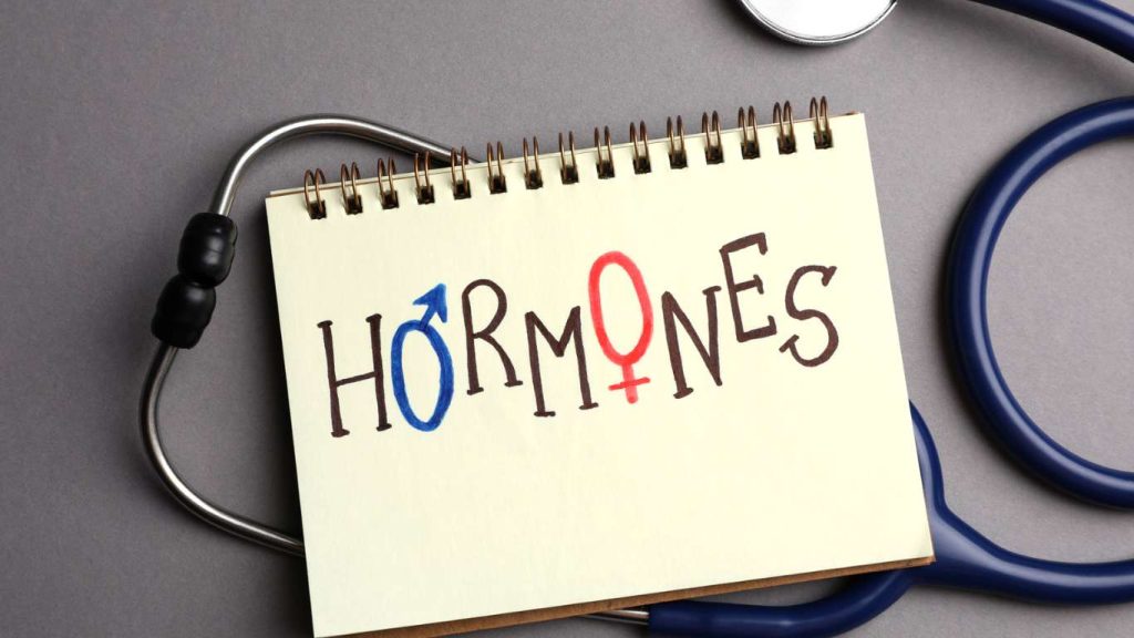 Welche Hormone werden in den Hoden gebildet? 