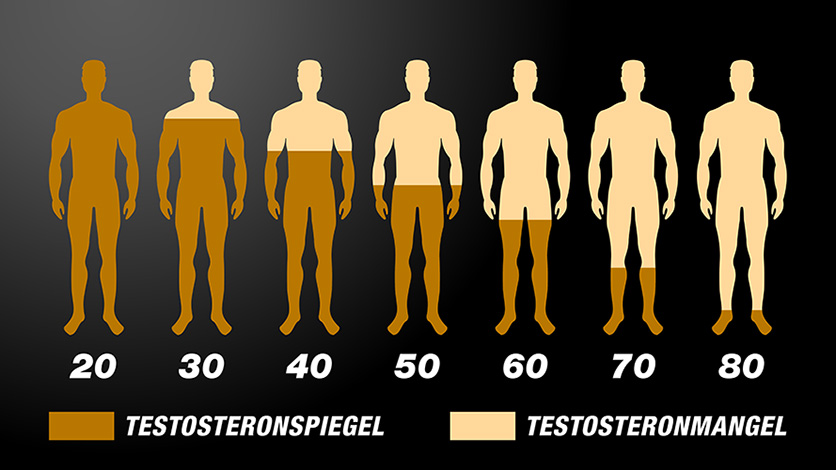 Testosteronspiegel im Alter