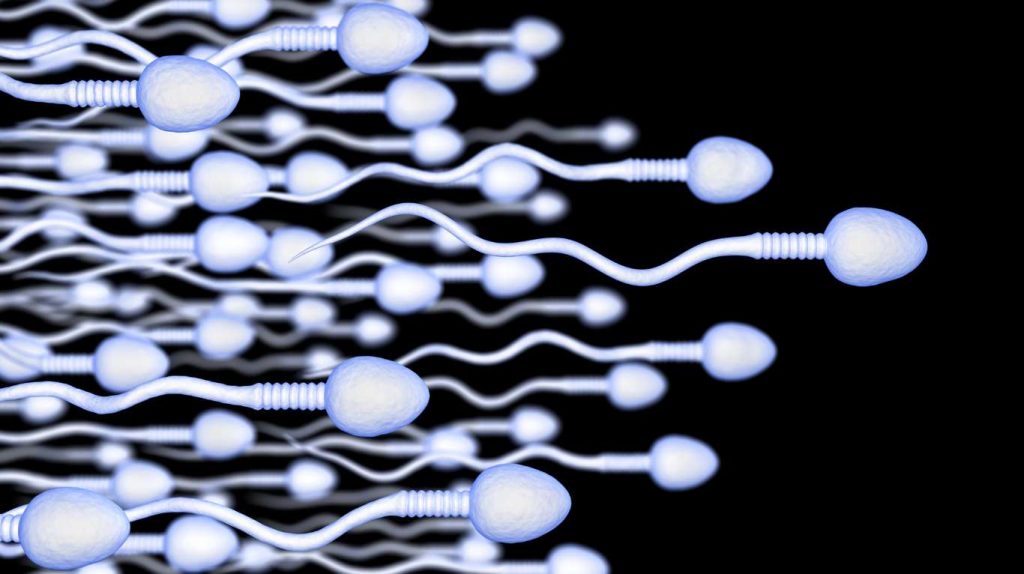 Wie man mehr Sperma produzieren kann